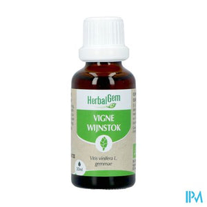 Herbalgem Wijnstok Maceraat Bio 30ml