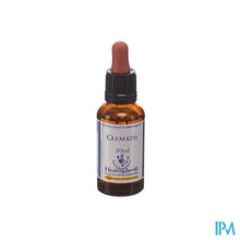 Afbeelding in Gallery-weergave laden, Healing Herbs Clematis 30ml
