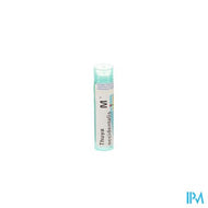 Thuya Occidentalis Mk Gr 4g Boiron
