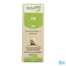 Charger l'image dans la galerie, Herbalgem Eik Maceraat 15ml

