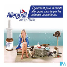 Charger l'image dans le visualiseur de la galerie, Allergodil Spray Nasal Fl 10ml
