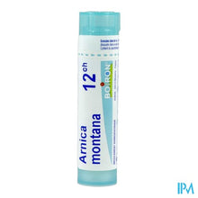 Afbeelding in Gallery-weergave laden, Arnica Montana 12ch Gr 4g Boiron
