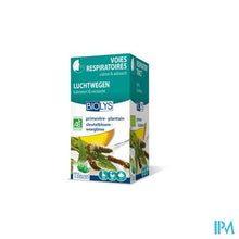 Afbeelding in Gallery-weergave laden, Biolys Sleutelbloem-weegbree Tea-bags 20
