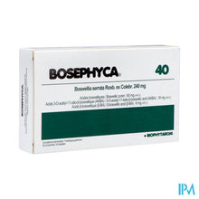 Afbeelding in Gallery-weergave laden, Bosephyca Caps 40
