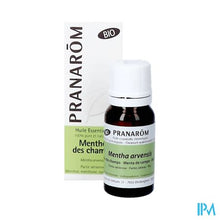 Afbeelding in Gallery-weergave laden, Pranarom Eo Akkermunt Bio 10ml
