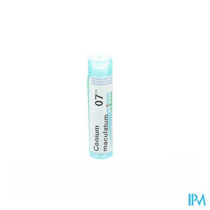 Conium Maculatum 7ch Gr 4g Boiron