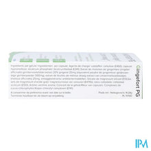 Load image into Gallery viewer, Gingefort Pg Pharmagenerix Caps 40

