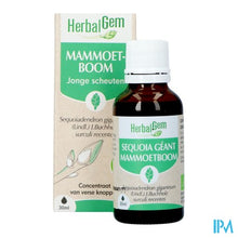 Afbeelding in Gallery-weergave laden, Herbalgem Mammoetboom Bio 30ml
