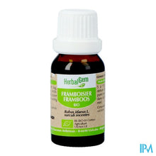 Load image into Gallery viewer, Herbalgem Frambozen Maceraat 15ml

