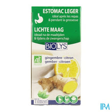 Afbeelding in Gallery-weergave laden, Biolys Gember - Citroen Tea-bags 20
