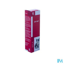 Load image into Gallery viewer, Uri-kel Pasta 100g
