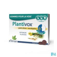 Afbeelding in Gallery-weergave laden, Plantivox Pastilles 24
