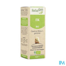 Afbeelding in Gallery-weergave laden, Herbalgem Eik Maceraat 15ml
