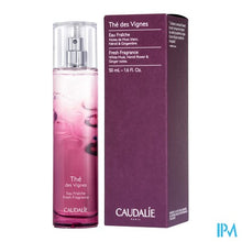 Load image into Gallery viewer, Caudalie Eau Fraiche The Des Vignes 50ml Nf
