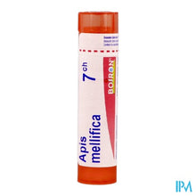Afbeelding in Gallery-weergave laden, Apis Mellifica 7ch Gr 4g Boiron
