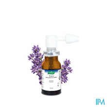 Load image into Gallery viewer, A.vogel Oorspray Oorsmeer 10ml
