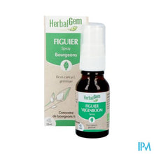 Afbeelding in Gallery-weergave laden, Herbalgem Vijgenboom Bio Spray 15ml
