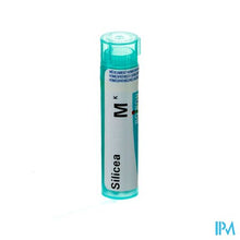 Afbeelding in Gallery-weergave laden, Silicea Mk Gr 4g Boiron
