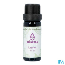 Afbeelding in Gallery-weergave laden, Sjankara Laurier Ess. Olie 11ml
