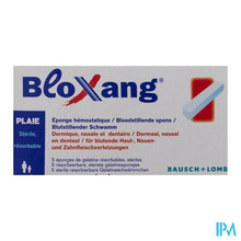 Afbeelding in Gallery-weergave laden, Bloxang Spons 4,0 X 1,0 X 1,0cm 5
