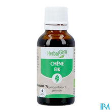 Afbeelding in Gallery-weergave laden, Herbalgem Eik Bio 30ml
