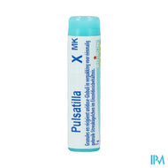 Pulsatilla Xmk Gl Boiron