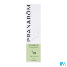 Load image into Gallery viewer, Pranarom Eo Thuya 10ml
