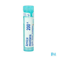 Arnica Montana 200k Gr 4g Boiron