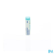 Lycopodium Clavatum Mk Gl Boiron