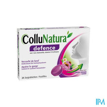 Load image into Gallery viewer, Collunatura Defence Pastilles 24
