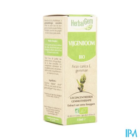 Herbalgem Vijgenboom Maceraat 15ml