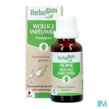 Afbeelding in Gallery-weergave laden, Herbalgem Sneeuwbal Bio 30ml
