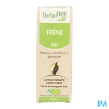Chargement de l'image dans la vue Galerie, Herbalgem Es Macerate 15ml
