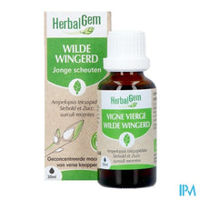 Afbeelding in Gallery-weergave laden, Herbalgem Wilde Wingerd Bio 30ml
