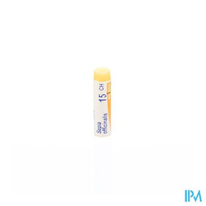Sepia Officinalis 15ch Gl Boiron