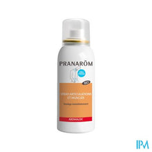 Afbeelding in Gallery-weergave laden, Pranarom Aromalgic Spray Geconcentreerd Bio 75ml
