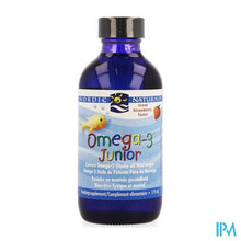 Load image into Gallery viewer, Nordic Dhajunior Olie Vlb 120ml
