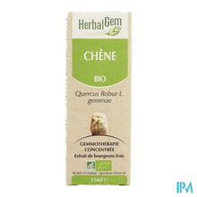 Charger l'image dans la galerie, Herbalgem Eik Maceraat 15ml
