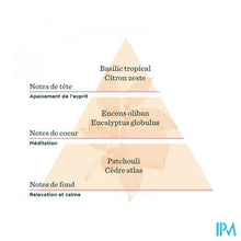 Afbeelding in Gallery-weergave laden, De Saint Hilaire Complex Diff Esprit Yoga Bio 30ml
