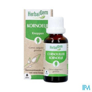 Herbalgem Kornoelje Bio 30ml