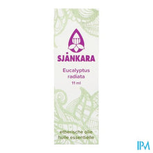 Afbeelding in Gallery-weergave laden, Sjankara Eucalyptus Radiata Ess. Olie Bio 11ml
