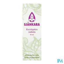 Afbeelding in Gallery-weergave laden, Sjankara Eucalyptus Radiata Ess. Olie Bio 11ml
