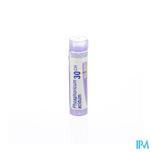 Load image into Gallery viewer, Phosphoricum Acidum 30ch Gr 4g Boiron
