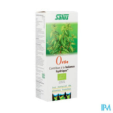 Afbeelding in Gallery-weergave laden, Salus Brandnetelsap Bio 200ml
