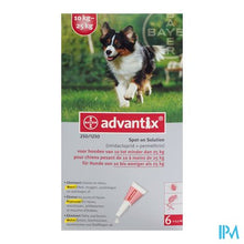 Afbeelding in Gallery-weergave laden, Advantix 250/1250 Honden 10<25kg Fl 6x2,5ml

