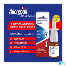 Charger l'image dans le visualiseur de la galerie, Allergodil Spray Nasal Fl 10ml
