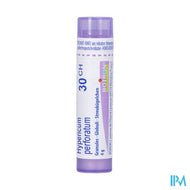 Hypericum Perforatum 30ch Gr 4g Boiron