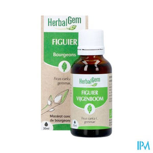 Herbalgem Vijgenboom Bio 30ml