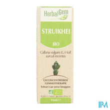 Load image into Gallery viewer, Herbalgem Struikhei Unitair Moedermaceraat 15ml
