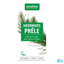Load image into Gallery viewer, Purasana Heermoes 250mg Bio V-caps 120
